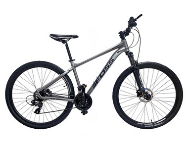 BICICLETA ARO 29 FOSS